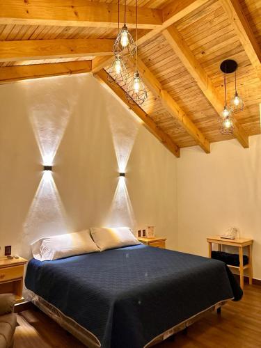 une chambre avec un lit dans une pièce avec des plafonds en bois dans l'établissement Cabaña para pareja con Jacuzzi, à Huasca de Ocampo