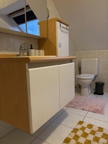 a bathroom with a sink and a toilet at Lovely house next to Tomorrowland in Boom