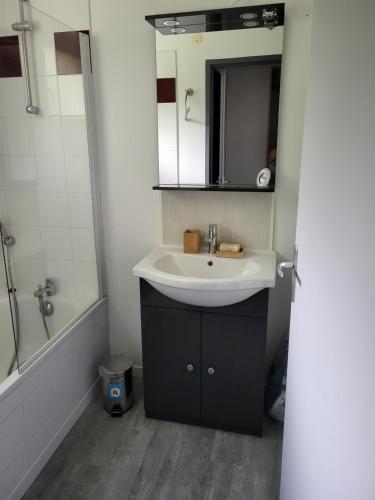 une salle de bain avec un lavabo et un miroir dans l'établissement Terrasses du lac appt, à Aureilhan