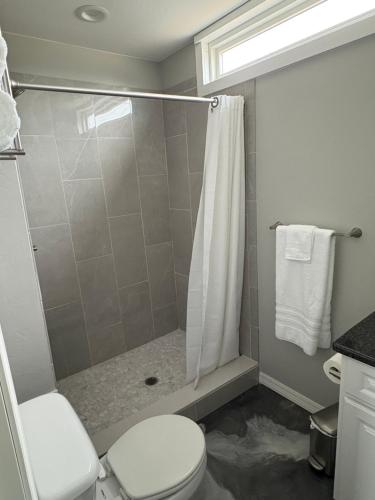 a bathroom with a shower with a toilet and a sink at Nexlevel Rentals in Davis
