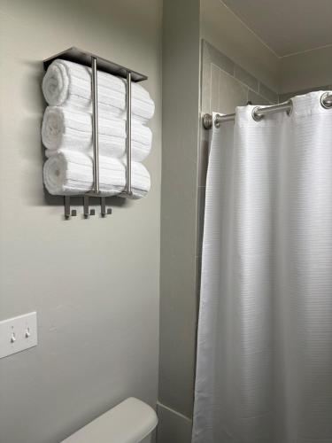 a bathroom with a toilet and a towel rack with towels at Nexlevel Rentals in Davis