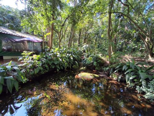 Kebun di luar Casa com piscina natural com jacuzzi e área de lazer