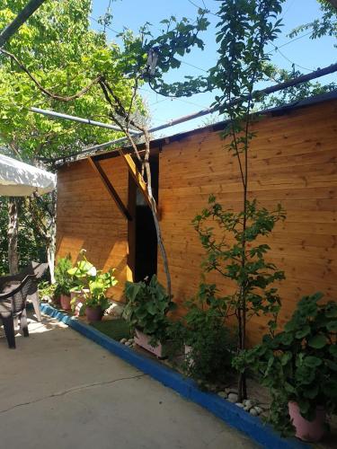 a wooden house with plants in front of it at Guesthouse Rusto in Gjirokastër