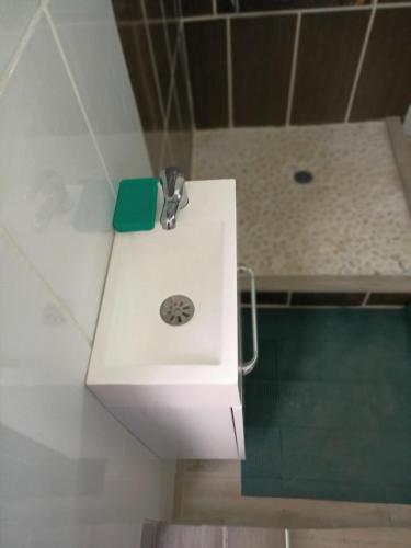 a white sink in a bathroom with a shower at Douceur de la mer des caraibes in Sainte-Rose
