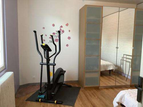 Cette chambre comprend un tapis de course et un miroir. dans l'établissement Charmante maison située à 150 m de la plage, à Plérin