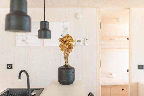 Kuchyň nebo kuchyňský kout v ubytování Villa Monika - Resort VITA