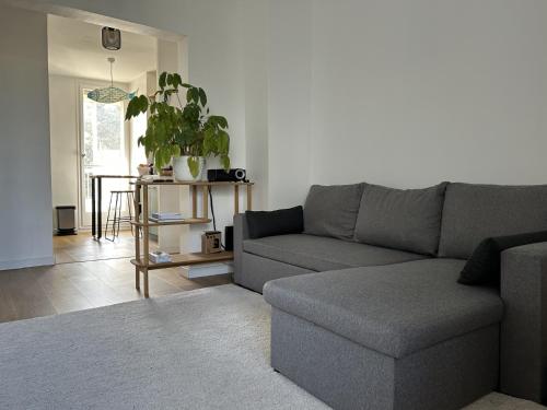 appartement cosy T3 proche centre ville