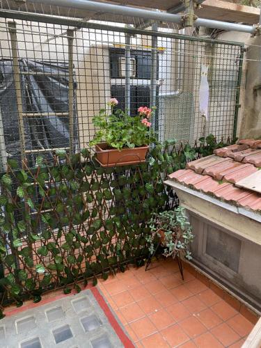 Imagen de la galería de Casetta Manin, en Noli