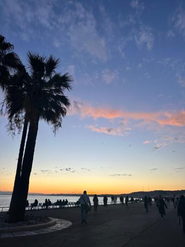 un groupe de personnes marchant sur une plage avec un palmier dans l'établissement Appartement Nice Centre, à Nice