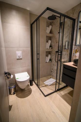 a bathroom with a shower and a toilet in it at Vila Luca in Mostar