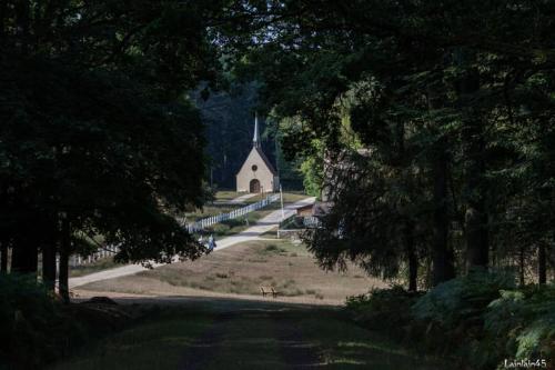 a church on a hill with a road leading to a church at Gîte du Parc Animalier de Boutissaint in Treigny