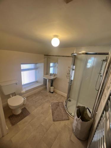 a bathroom with a shower and a toilet and a sink at Epworth Cottage in Crich