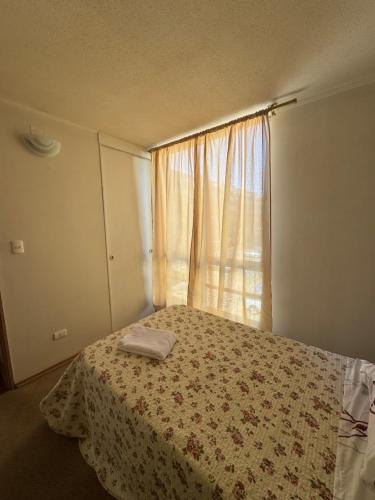 Gallery image of AP Yungay in San Felipe
