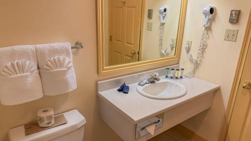 a bathroom with a sink and a mirror and a toilet at Inn on the Lake in Fall River