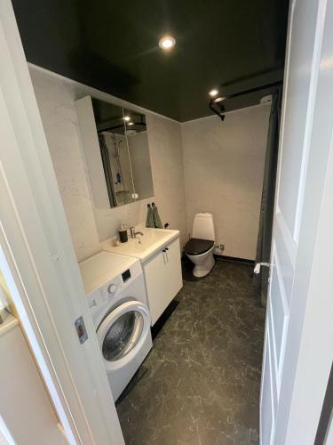 a bathroom with a washing machine and a sink at Nybyggd stuga nära centrum och tågstation in Falkenberg