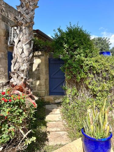 a house with a blue door and some plants at Ta Skorba Farmhouse Mgarr in Mġarr