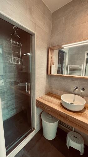 une salle de bain avec un lavabo et une douche dans l'établissement Stylish Parisian Montmartre 2br Apartment, à Paris