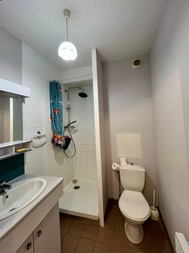 ein Badezimmer mit Toilette, Waschbecken und Dusche in der Unterkunft Studio calme proche de la gare in Amiens