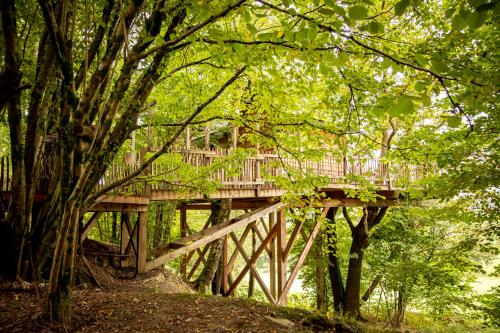 a wooden bridge in the middle of a forest at La Cabane de Bon Papa in Bertrix