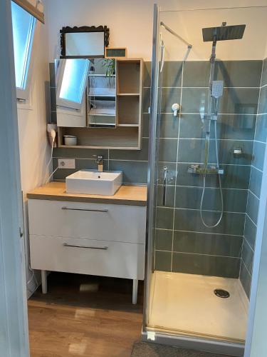 une salle de bain avec un lavabo et une douche dans l'établissement Maison familiale, 4 chambres, à Tarnos
