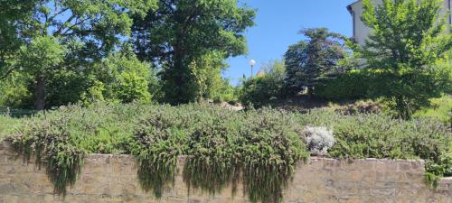 Gallery image of le moulin in Vallon-Pont-dʼArc