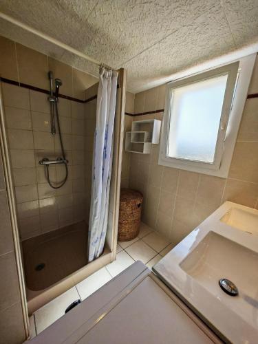 La petite salle de bains est pourvue d'une douche et d'un lavabo. dans l'établissement La Dolce Vita, à Marseillan