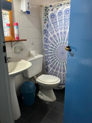 a bathroom with a toilet and a sink and a shower curtain at Hebes House Hostal in Caviahue