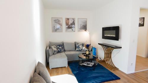 a living room with a couch and a tv at Apartment Passau C - Gargen, Stilvoll, Modern & Cozy im Zentrum von Passau in Passau