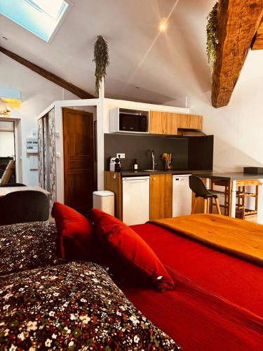 Cet appartement comprend une chambre avec un lit rouge et une cuisine. dans l'établissement Calme et reposant en hypercentre, à Romans-sur-Isère