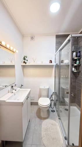 a bathroom with a toilet and a shower and a sink at Alameda Urban Room in Lisbon