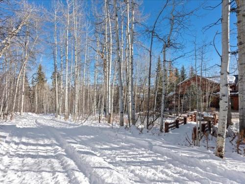 Το Jay Chalet by Snowmass Vacations τον χειμώνα