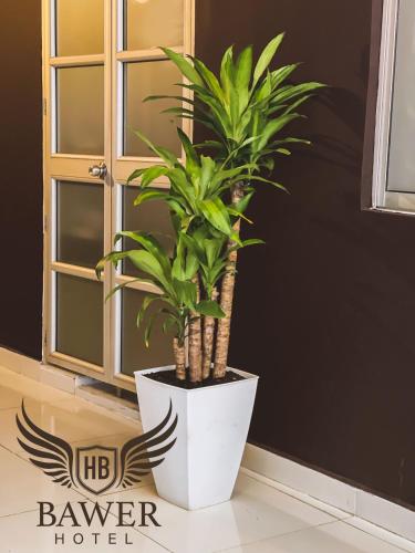 Fotografie z fotogalerie ubytování Hotel BAWER v Arauce