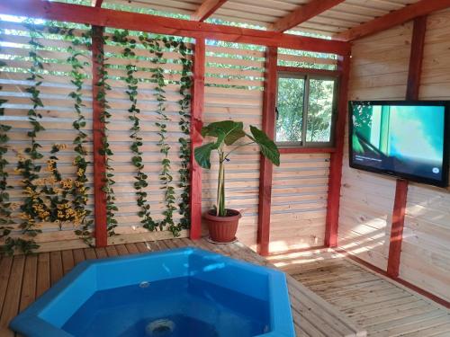 a room with a blue tub and a tv at Cabañas more licanray con tinaja in Licán Ray