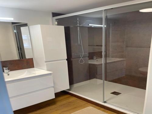 a bathroom with a glass shower and a sink at Holiday Home in Trois-Ponts near La Redoute in Trois-Ponts