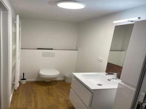 a white bathroom with a toilet and a sink at Holiday Home in Trois-Ponts near La Redoute in Trois-Ponts