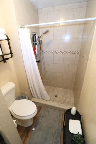 a small bathroom with a toilet and a shower at Two king, Cozy & Comfy! in El Paso