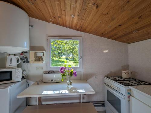 une cuisine avec un vase de fleurs sur un comptoir dans l'établissement Chambres d'hôtes avec jardin près des châteaux de la Loire - FR-1-591-666, à Châtillon-sur-Indre