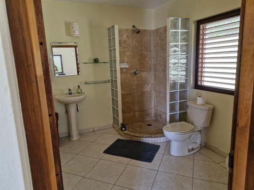 a bathroom with a shower and a toilet and a sink at Monks Hill Villa in Falmouth
