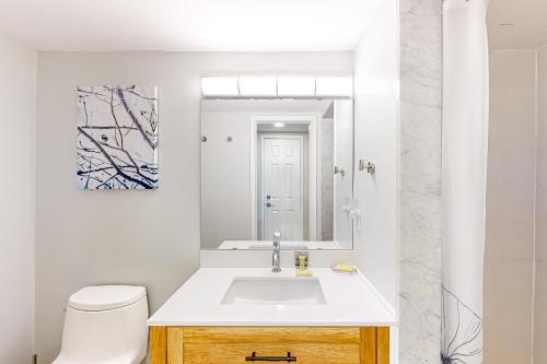 een badkamer met een wastafel, een toilet en een spiegel bij Wintergreen 122 in Blue Mountains