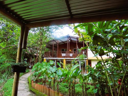 a house in the middle of a garden at El susurro del agua exclusiva - natural in Ibagué