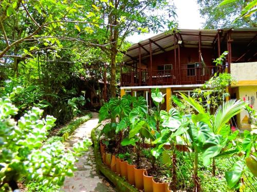 a garden in front of a house with trees at El susurro del agua exclusiva - natural in Ibagué