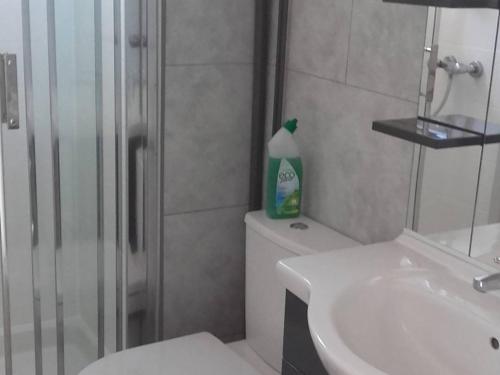 une salle de bain avec toilettes, lavabo et douche dans l'établissement Studio 2 Pers Proche Plage avec Parking Privé - FR-1-833-23, à Canet