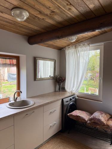 eine Küche mit Spüle und Waschmaschine in der Unterkunft Bedugnės pirtelė - Cosy Sauna House in Vilnius
