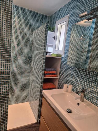 une salle de bain avec un lavabo et une douche avec un miroir dans l'établissement La plume du Ventoux suite 305, à Mollans-sur-Ouvèze