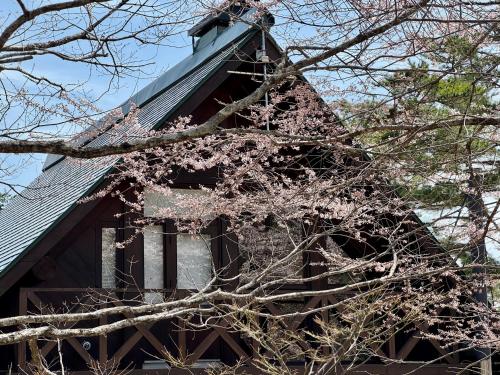 a tree with pink flowers on the side of a house at Hakuba Riverside Loghouse in Hakuba