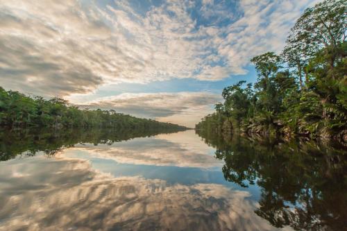 a river with trees and clouds in the sky at Hotel El Icaco Tortuguero in Tortuguero
