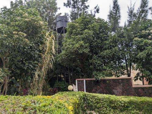a bird bath in the middle of a garden at Casa Gorilla Lodge & Campsite in Kisoro