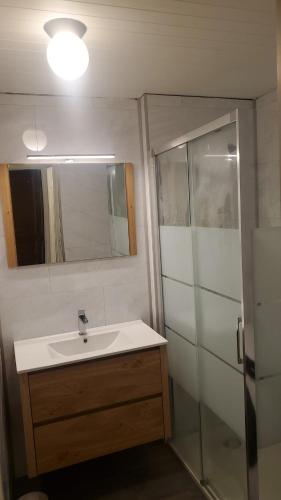 une salle de bain avec un lavabo et une douche dans l'établissement Appartement 6 personnes avec jardin, à Châtel