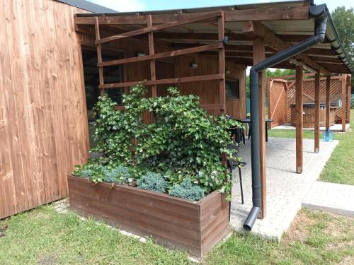 Załucze StareにあるPoleski domek w Czarnym Lesieのギャラリーの写真