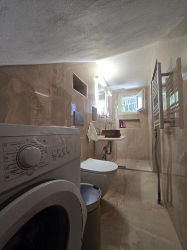 a bathroom with a washing machine and a toilet at Tamarisk House-An Ideal Getaway in Southern Paros in Márpissa